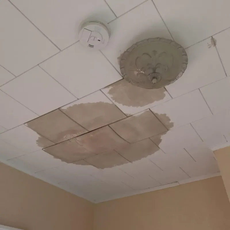 Ceiling Water Damage Repair in Southport, NC
