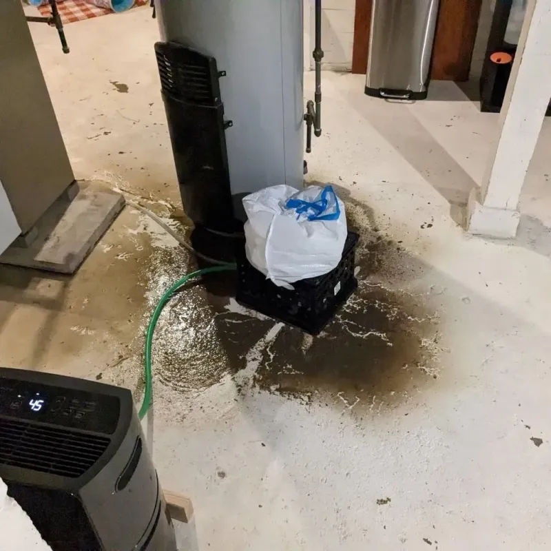 Sewage Backup Cleanup Service in Southport, NC